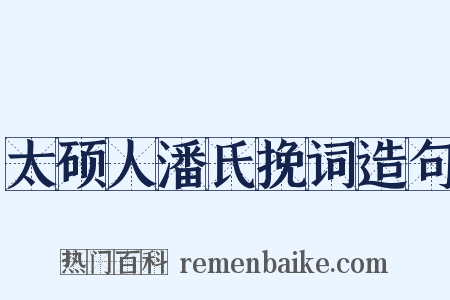 太硕人潘氏挽词造句是什么意思的图片